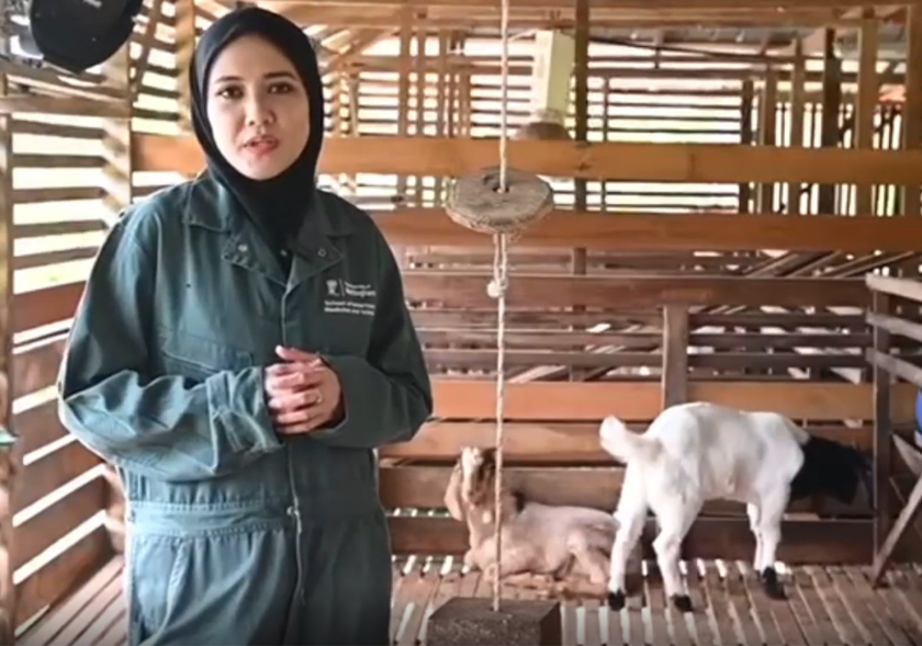 Bagi Dr. Nor Dini, penciptaan CapriBos bukan sekadar kejayaan saintifik, tetapi satu tanggungjawab sosial.