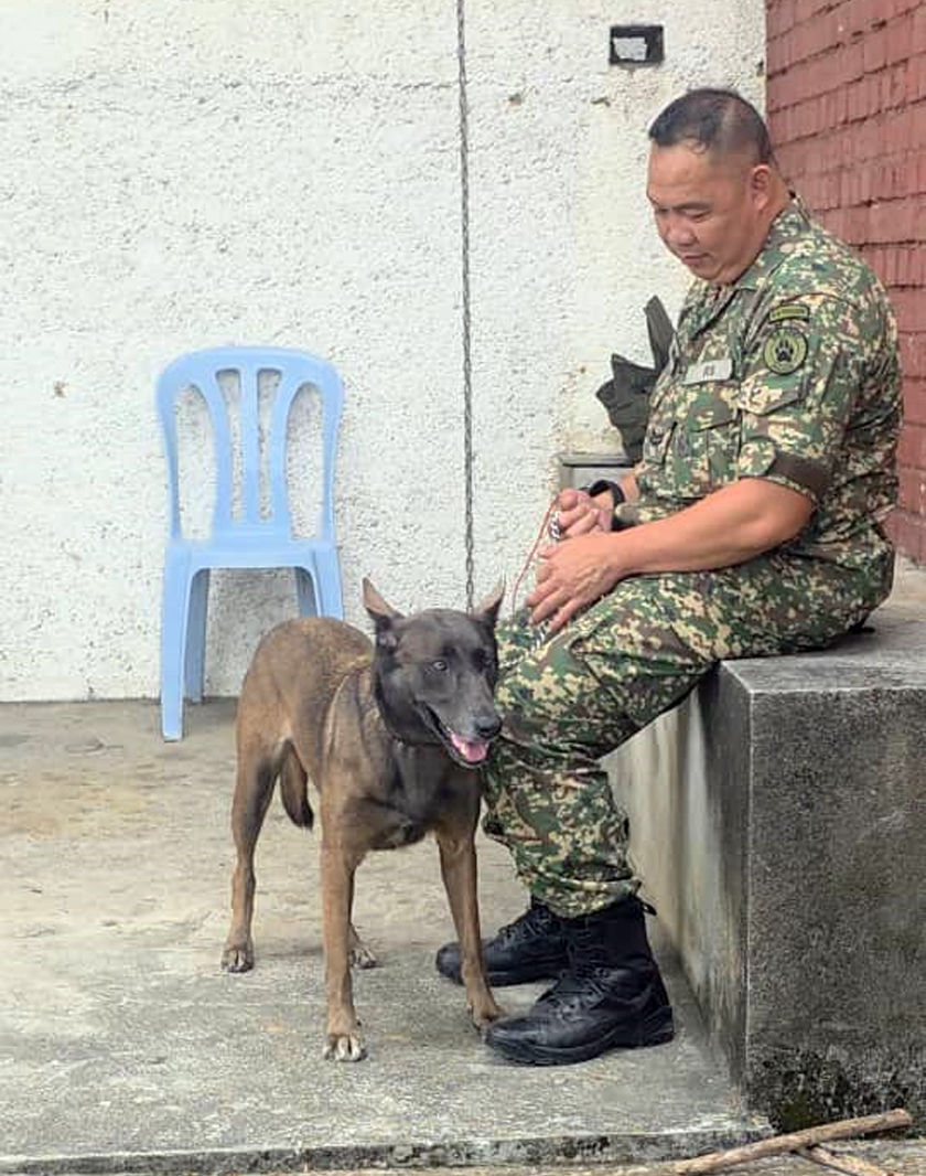 Nala lebih sensitif dan beremosi demi menjaga dirinya yang merupakan satu-satunya anjing betina dalam unit ini.